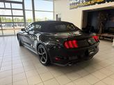 Thumbnail of 2017 Shadow Black Ford Mustang