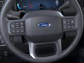Thumbnail of 2025 Avalanche Ford F-250