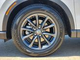 Thumbnail of 2026 Platinum White Pearl Honda CR-V