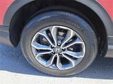 Thumbnail of 2021 Radiant Red Metallic Honda CR-V