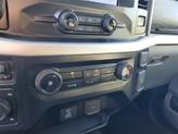 Thumbnail of 2021 Carbonized Gray Metallic Ford F-150
