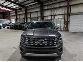 Thumbnail of 2021 Magnetic Metallic Ford Expedition