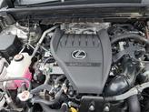 Thumbnail of 2022 Champagne Lexus NX 350