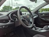 Thumbnail of 2023 Summit White Chevrolet Malibu