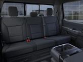 Thumbnail of 2025 Carbonized Gray Ford F-150