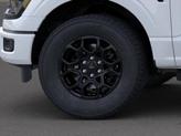 Thumbnail of 2025 YZ White Ford F-150