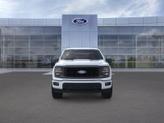 Thumbnail of 2025 YZ White Ford F-150