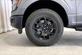 Thumbnail of 2024 Carbonized Gray Metallic Ford F-150