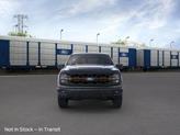 Thumbnail of 2025 Agate Black Ford F-150