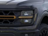 Thumbnail of 2025 Agate Black Ford F-150