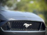 Thumbnail of 2019 Shadow Black Ford Mustang