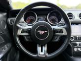 Thumbnail of 2019 Shadow Black Ford Mustang