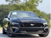 Thumbnail of 2019 Shadow Black Ford Mustang