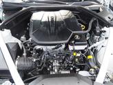 Thumbnail of 2025 Uyuni White Genesis G70