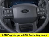 Thumbnail of 2025 Black Metallic Ford F-150