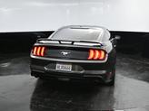 Thumbnail of 2019  Ford Mustang