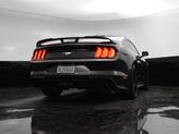 Thumbnail of 2019  Ford Mustang