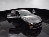 Thumbnail of 2019  Ford Mustang