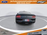 Thumbnail of 2021 Shadow Black Ford Mustang