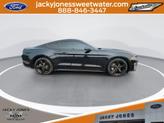 Thumbnail of 2021 Shadow Black Ford Mustang