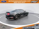 Thumbnail of 2021 Shadow Black Ford Mustang
