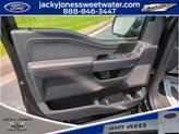 Thumbnail of 2025 Agate Black Metallic Ford F-150