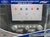 Thumbnail of 2025 Oxford White Ford Ranger