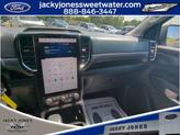 Thumbnail of 2025 Oxford White Ford Ranger