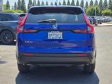 Thumbnail of 2024 Still Night Honda CR-V