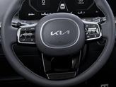 Thumbnail of 2025 Ebony Black Kia Sorento