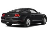 Thumbnail of 2021 Shadow Black Ford Mustang