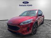 Photo of 2021 Rapid Red Metallic Tinted Clearcoat Ford Escape