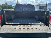 Thumbnail of 2019 AGATE BLACK Ford F-150