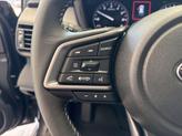 Thumbnail of 2025 Magnetite Gray Metallic Subaru Outback
