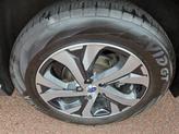 Thumbnail of 2022 Autumn Green Metallic Subaru Outback