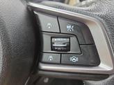 Thumbnail of 2022 Autumn Green Metallic Subaru Outback