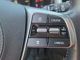 Thumbnail of 2019 Platinum Graphite Kia Sorento