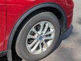 Thumbnail of 2022 Red Tinted Ford Escape