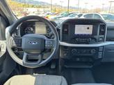 Thumbnail of 2023 Race Red Ford F-150