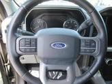 Thumbnail of 2021 Carbonized Gray Metallic Ford F-150