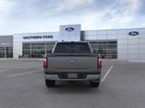 Thumbnail of 2025 Gray Metallic Ford F-150