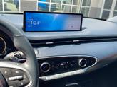 Thumbnail of 2023 Vik Black Genesis GV70