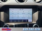 Thumbnail of 2020 Blue Ford Mustang