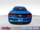 Thumbnail of 2020 Blue Ford Mustang