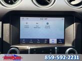Thumbnail of 2020 Blue Ford Mustang