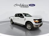 Thumbnail of 2025 Oxford White Ford F-150