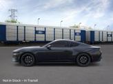 Thumbnail of 2025 Shadow Black Ford Mustang