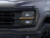 Thumbnail of 2025 Agate Black Metallic Ford F-150