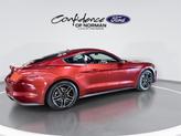 Thumbnail of 2019 Ruby Red Metallic Tinted Clearcoat Ford Mustang