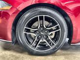 Thumbnail of 2019 Ruby Red Metallic Tinted Clearcoat Ford Mustang